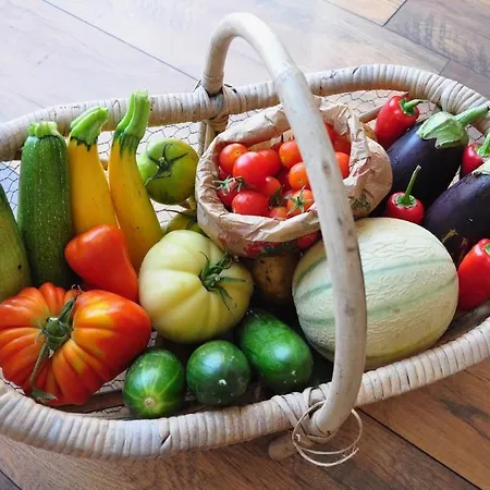 Le Sechoir, Au Jardin Des Tisanes * Tabanac